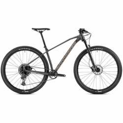 CHRONO R 29 GRAPHITE/GRAY
