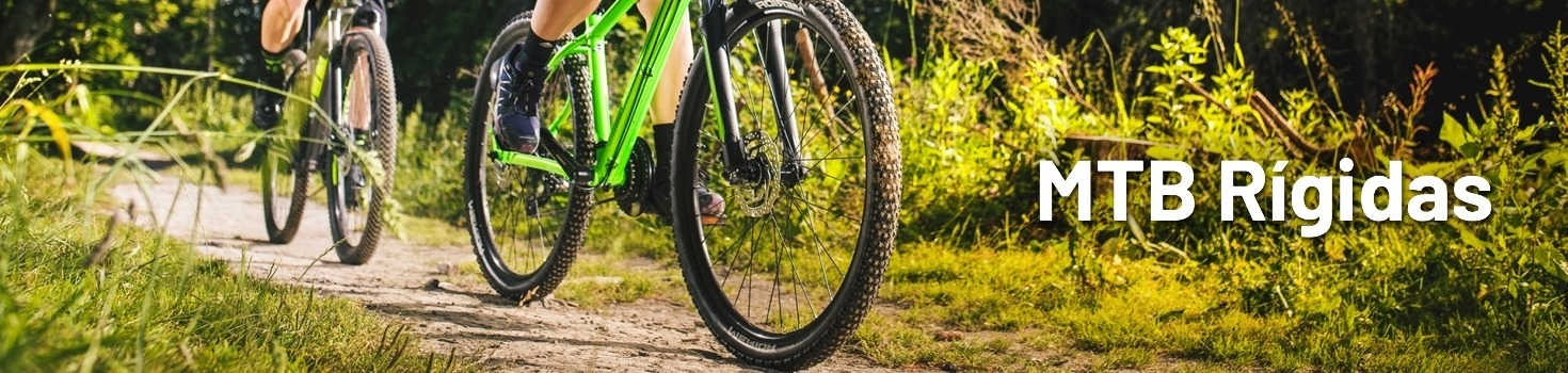 Bicicletas Rígidas