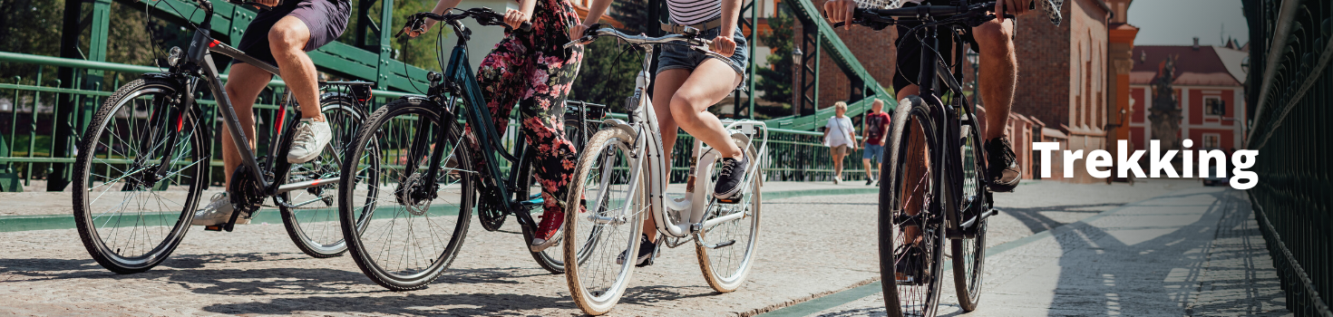 Bicicletas Trekking